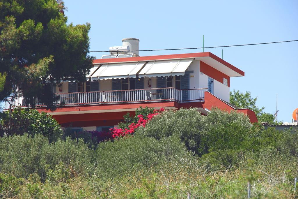 Αlexandros Apartment Votsi  Bagian luar foto